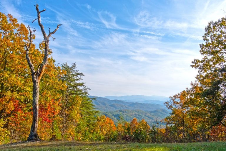 Tennessee's Rural Real Estate Untapped Potential for Investors