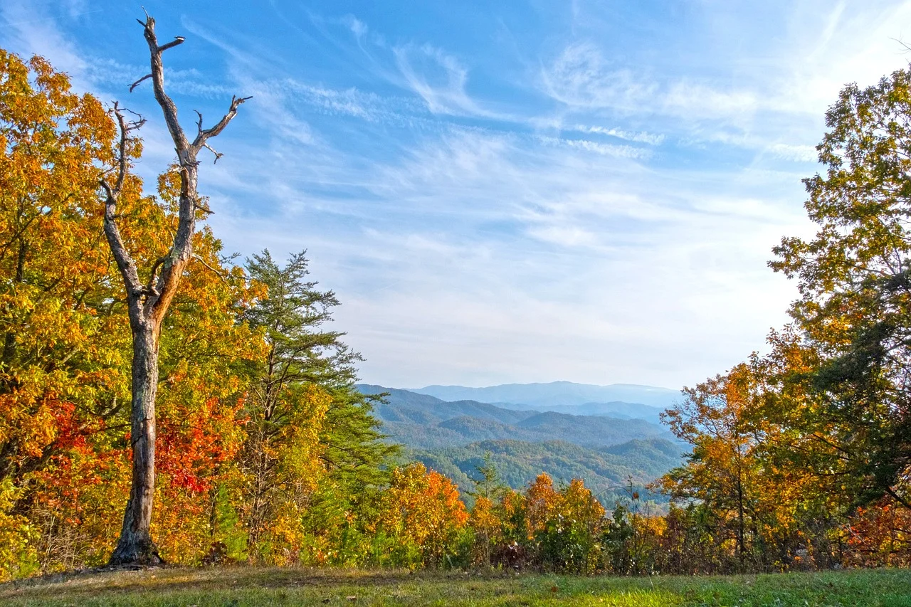 Tennessee's Rural Real Estate Untapped Potential for Investors